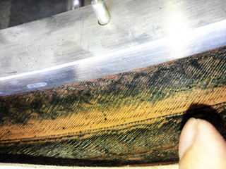 NCM_0021.jpg